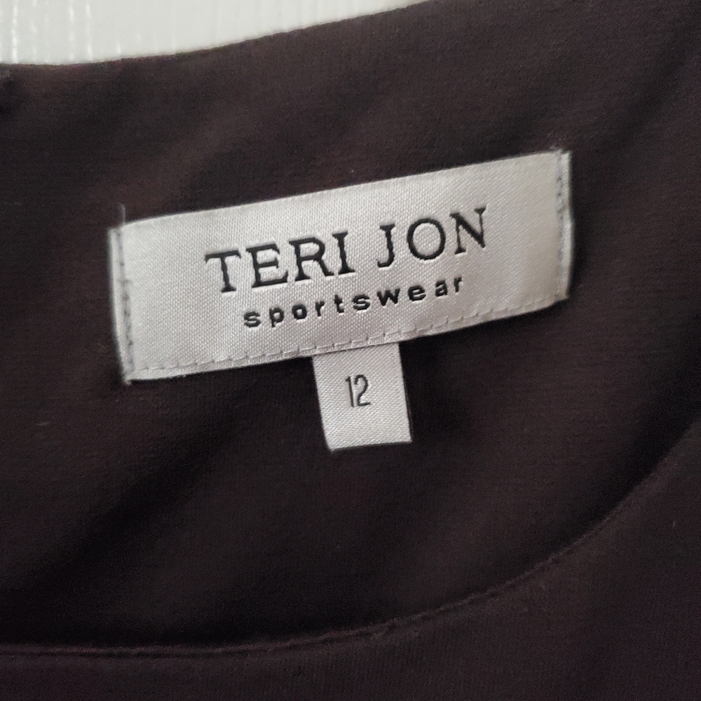 Designer Teri Jon Leather Business Casual Cocktail Dress Women's 12 Large - Picture 11 of 13